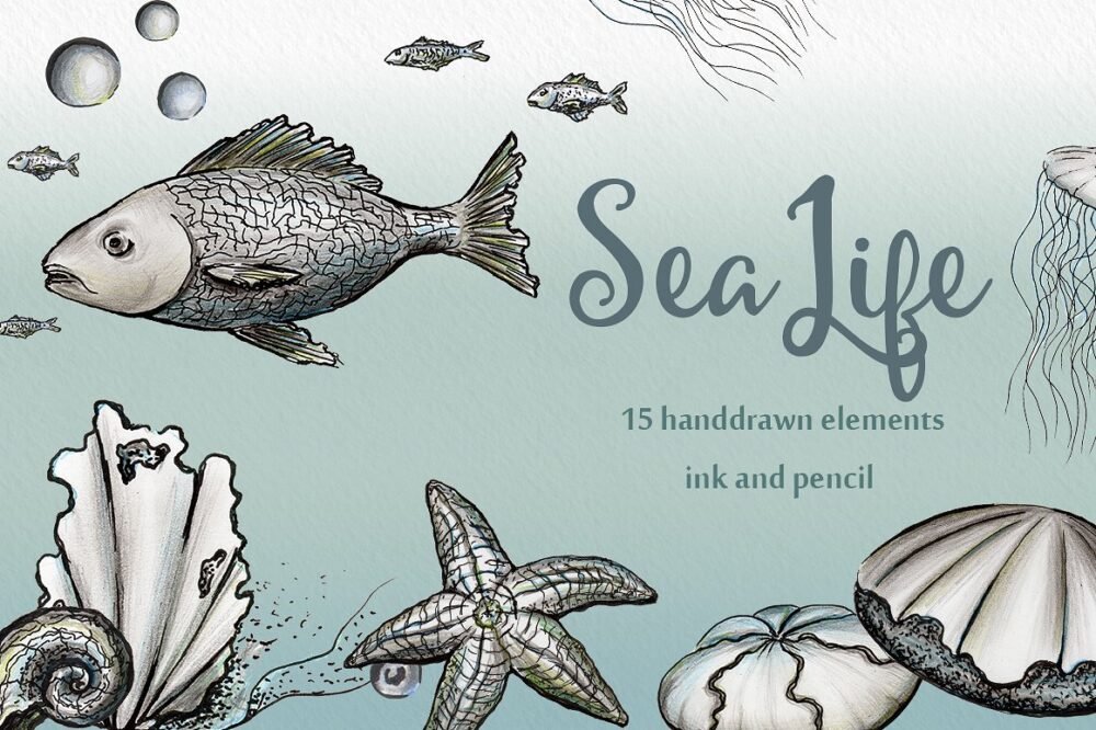 Ink and pencil pack of sea life elements